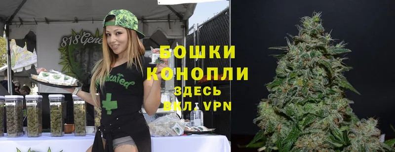 купить наркотики цена  Вихоревка  Канабис LSD WEED 